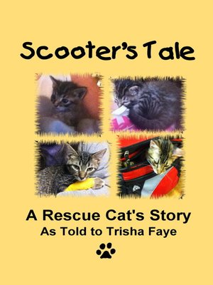 cover image of Scooter's Tale
